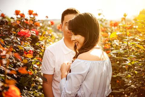 Inspiração e ideias criativas  ensaio fotográfico pré casamento de casal Holambra'