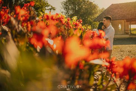 Inspiração e ideias criativas ensaio fotográfico pré casamento de casal Holambra cidade das flores SP'