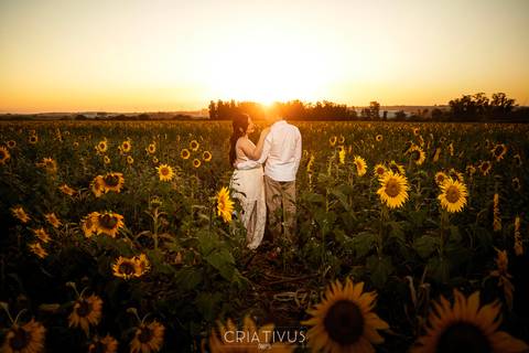 Inspiração e ideias criativas  ensaio fotográfico pré casamento de casal em Holambra-SP'