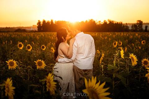 Inspiração e ideias criativas  ensaio fotográfico pré casamento de casal em Holambra-SP'