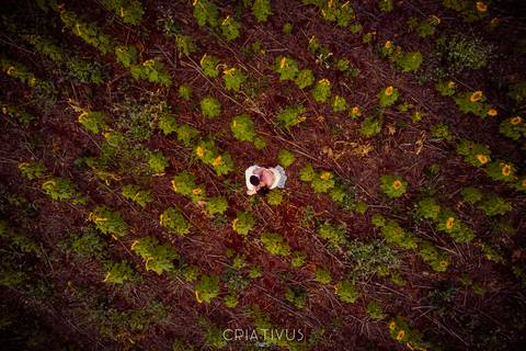 Inspiração e ideias criativas  ensaio fotográfico pré casamento de casal em Holambra-SP'