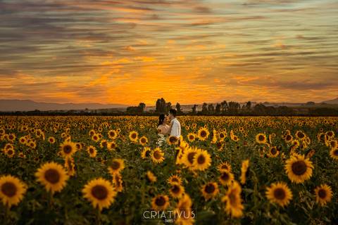 Inspiração e ideias criativas  ensaio fotográfico pré casamento de casal em Holambra-SP'