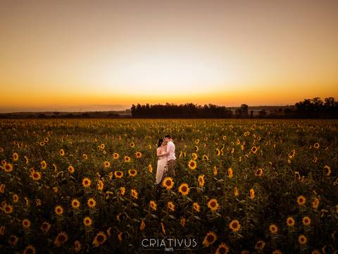 Inspiração e ideias criativas  ensaio fotográfico pré casamento de casal em Holambra-SP'