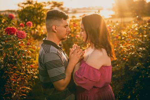 Inspiração e ideias criativas  ensaio fotográfico pré casamento de casal em Holambra - SP'