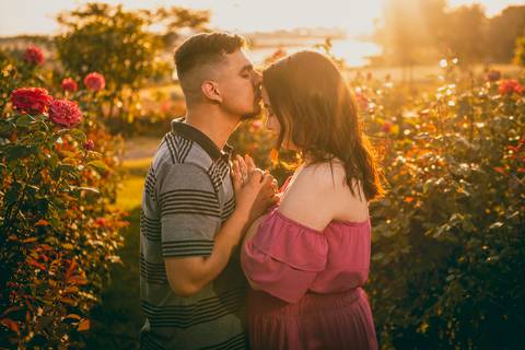 Inspiração e ideias criativas  ensaio fotográfico pré casamento de casal em Holambra - SP'