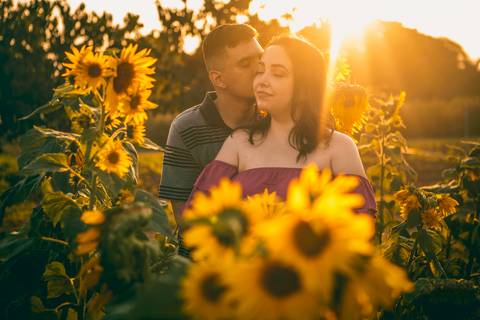 Inspiração e ideias criativas  ensaio fotográfico pré casamento de casal em Holambra - SP'