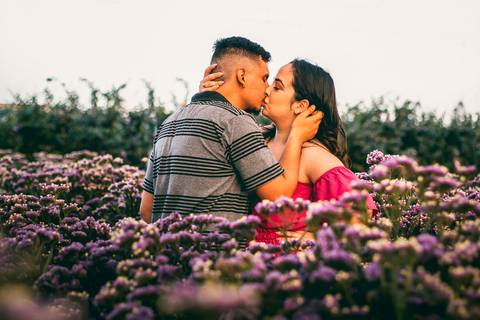 Inspiração e ideias criativas  ensaio fotográfico pré casamento de casal em Holambra - SP'
