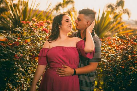 Inspiração e ideias criativas  ensaio fotográfico pré casamento de casal em Holambra - SP'