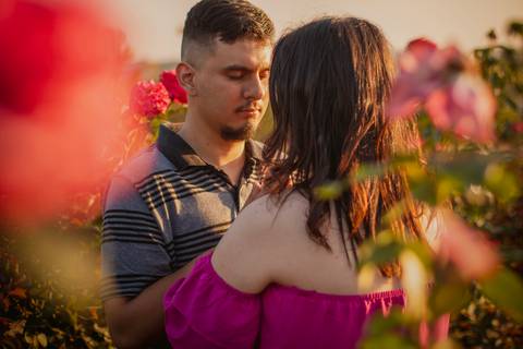 Inspiração e ideias criativas  ensaio fotográfico pré casamento de casal em Holambra - SP'
