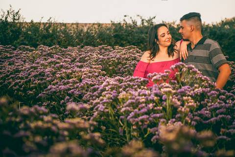 Inspiração e ideias criativas  ensaio fotográfico pré casamento de casal em Holambra - SP'