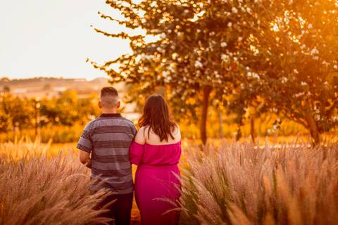 Inspiração e ideias criativas  ensaio fotográfico pré casamento de casal em Holambra - SP'