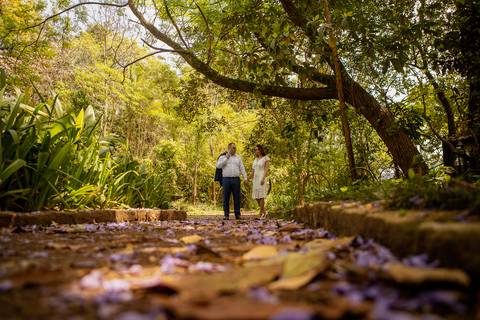 Inspiração e ideias criativas de fotos fotográfico no cível '