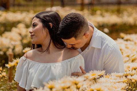 Inspiração e ideias criativas  ensaio fotográfico pré casamento de casal em  Holambra '
