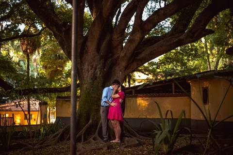 Inspiração e ideias criativas  ensaio fotográfico pré casamento de casal no Parque da Água Branca '