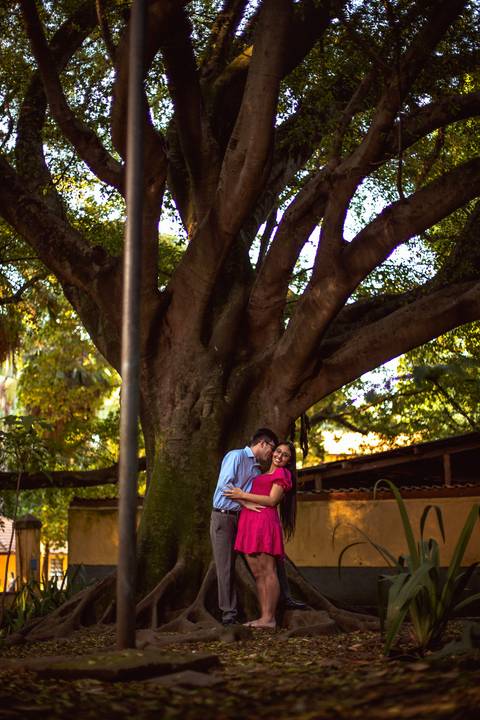 Inspiração e ideias criativas  ensaio fotográfico pré casamento de casal no Parque da Água Branca '