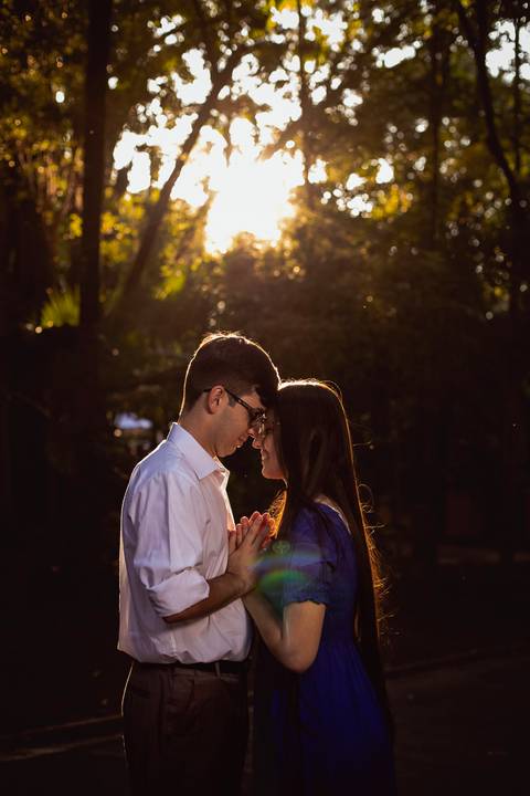 Inspiração e ideias criativas  ensaio fotográfico pré casamento de casal no Parque da Água Branca '