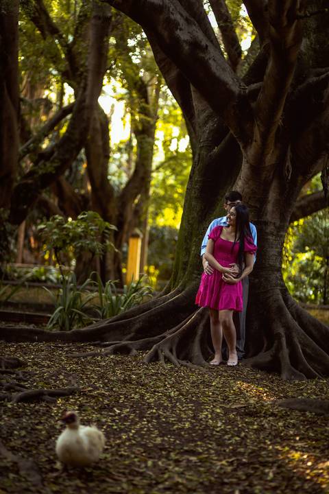 Inspiração e ideias criativas  ensaio fotográfico pré casamento de casal no Parque da Água Branca '