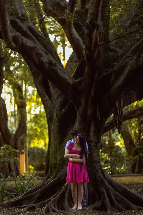 Inspiração e ideias criativas  ensaio fotográfico pré casamento de casal no Parque da Água Branca '