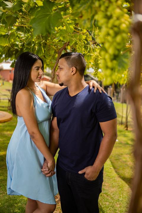 Inspiração e ideias criativas ensaio fotográfico pré casamento pré wedding de casal  canteiro de uva em São Roque - SP'