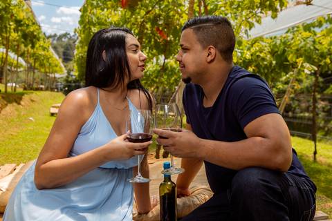 Inspiração e ideias criativas ensaio fotográfico pré casamento pré wedding de casal  canteiro de uva em São Roque - SP'