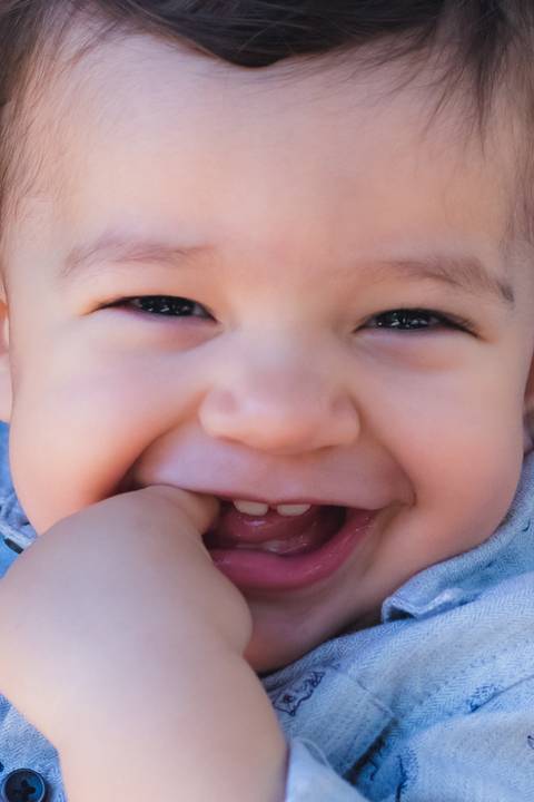 12 meses'