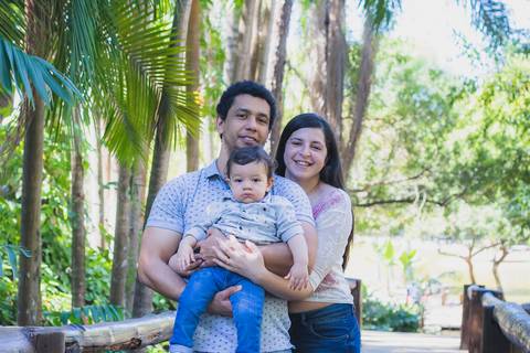 12 meses'