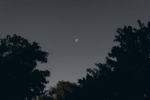 '