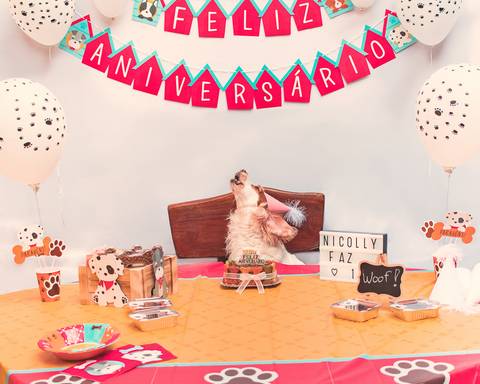 ensaio de aniversário pet em são josé do rio preto - sp'