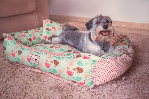 fotografia de produtos pet em  rio preto'