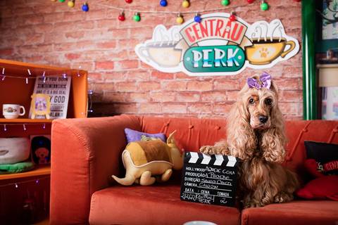 friends-phoebe buffay-central perk-you're my lobster-series-serie-netflix-hbo-friends reunion-cocker-cocker spaniel-geek-nerd-orgulho nerd-cosplay-comic con-stragner things-eleven-friend's don't lie'