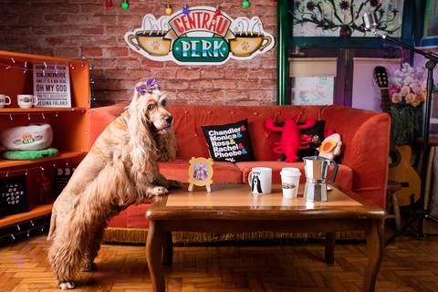 friends-phoebe buffay-central perk-you're my lobster-series-serie-netflix-hbo-friends reunion-cocker-cocker spaniel-geek-nerd-orgulho nerd-cosplay-comic con-stragner things-eleven-friend's don't lie'