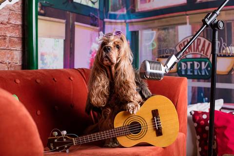friends-phoebe buffay-central perk-you're my lobster-series-serie-netflix-hbo-friends reunion-cocker-cocker spaniel-geek-nerd-orgulho nerd-cosplay-comic con-stragner things-eleven-friend's don't lie'