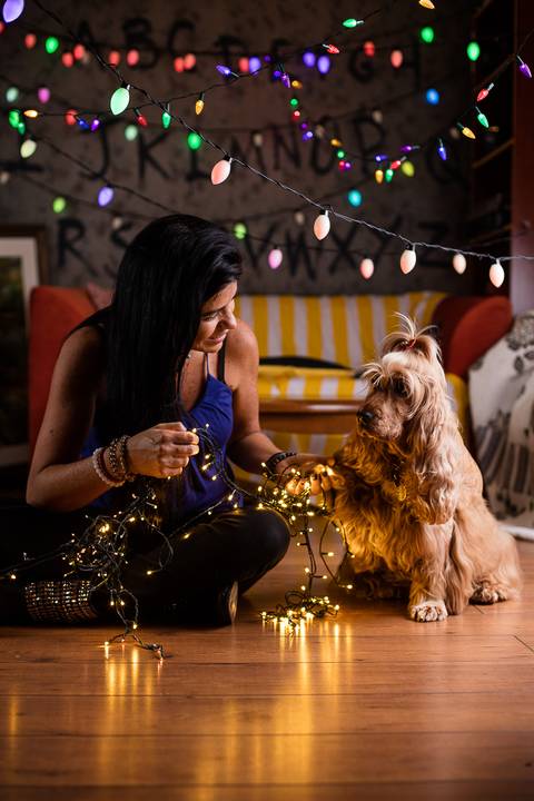 stranger things, geek, netflix, nerd, tv,serie, seriado, fotografia pet, fotografa pet, ensaio pet, ensaio tematico , upsidown, metaverso, mundo invertido'