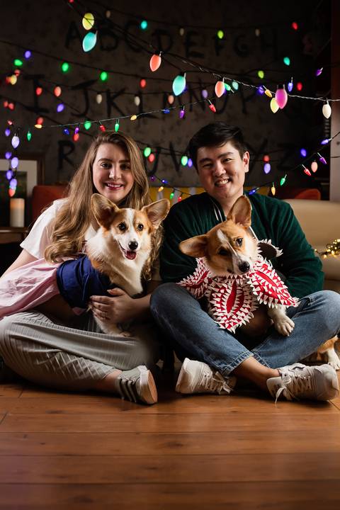 stranger things, geek, netflix, nerd, tv,serie, seriado, fotografia pet, fotografa pet, ensaio pet, ensaio tematico , upsidown, metaverso, mundo invertido'