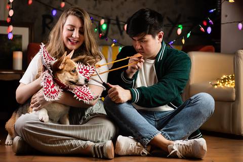 stranger things, geek, netflix, nerd, tv,serie, seriado, fotografia pet, fotografa pet, ensaio pet, ensaio tematico , upsidown, metaverso, mundo invertido'