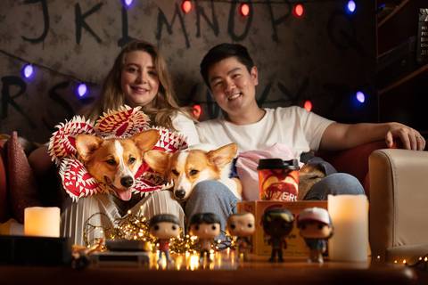 stranger things, geek, netflix, nerd, tv,serie, seriado, fotografia pet, fotografa pet, ensaio pet, ensaio tematico , upsidown, metaverso, mundo invertido'