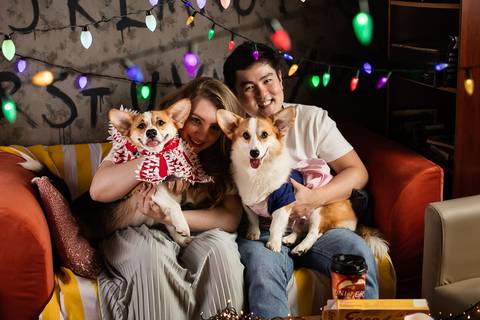 stranger things, geek, netflix, nerd, tv,serie, seriado, fotografia pet, fotografa pet, ensaio pet, ensaio tematico , upsidown, metaverso, mundo invertido'