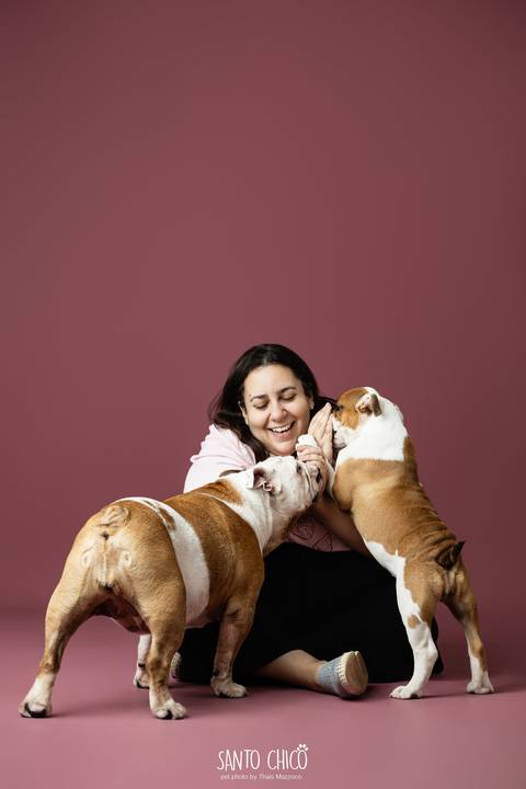 ensaio familia - buldogue - bulldog - filhote - ensaio estudio - estudio pet'