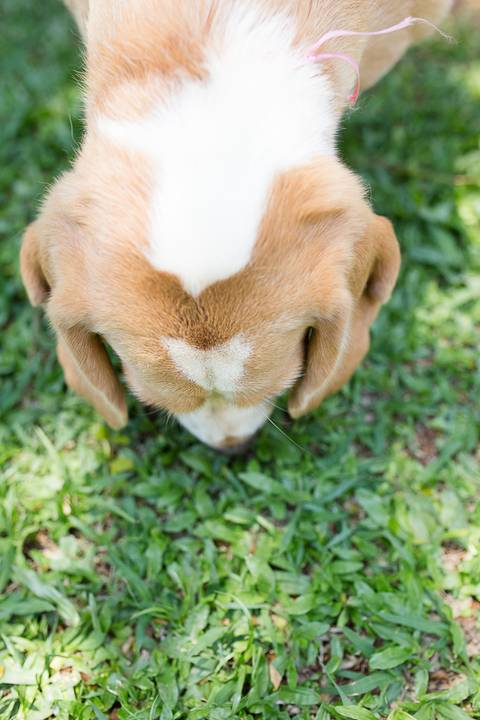 '