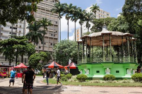 carnaval pet carnauau na praça carlos gomes em campinas'