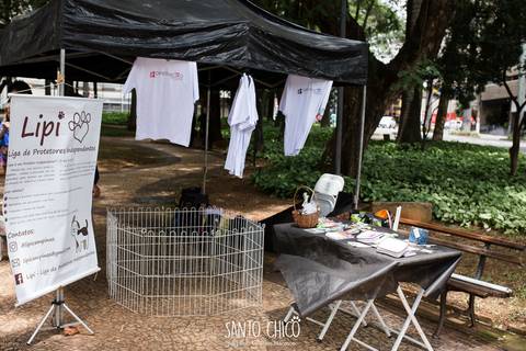 operacão resgate campinas com feirinha de adoção'