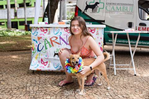 srd com colar havaiano em carnaval pet '