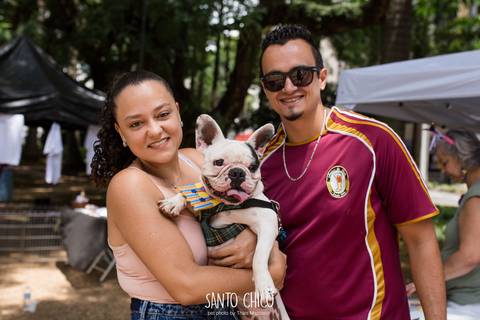 familia com bulldog frances em carnaval pet'