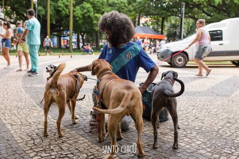 morador de rua em campinas com cachorros'
