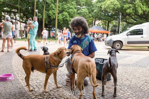 cachorros com morador de rua'