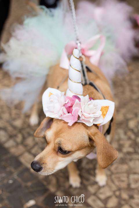fantasia de unicornio para cachorro em carnaval pet'