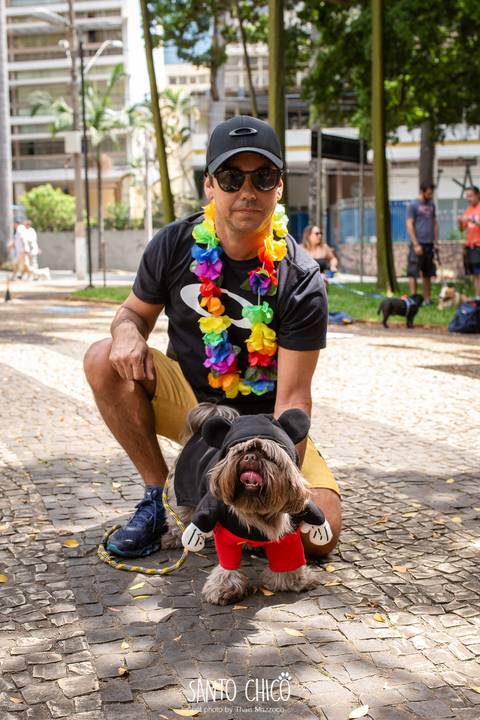 cachorro fantasiado de mickey mouse em carnaval pet na praça carlos gomes'