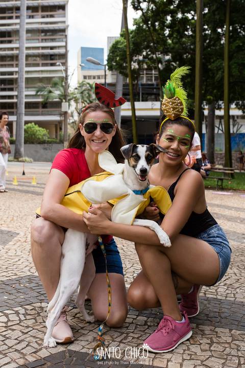 fred srd e sua familia com fantasia de banana em carnaval pet'