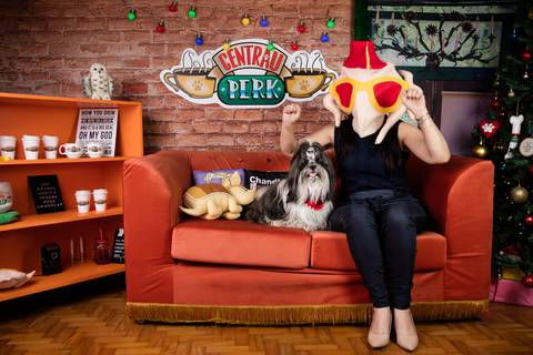 central perk natal 2021 friends ensaio pet fotografia animais cachorro gato animal serie warner netflix hbo arvore de natal enfeite '