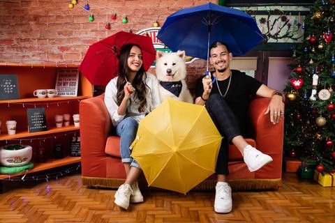 central perk natal 2021 friends ensaio pet fotografia animais cachorro gato animal serie warner netflix hbo arvore de natal enfeite '